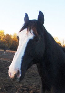 jefferson
