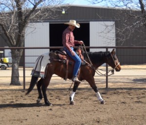 Jose Moreno - Trainer